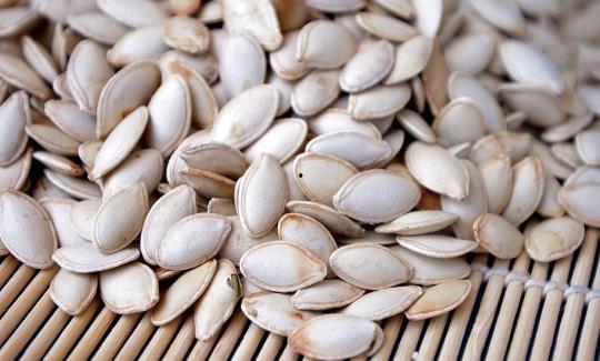 蒲瓜的籽可以吃的嘛视频,揭秘可食用籽的秘密