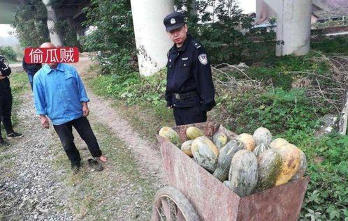 齐鲁塑化城吃瓜事件视频,一场网络热议的真相揭秘