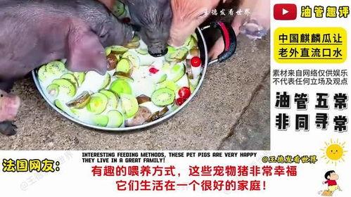 老外吃麒麟瓜的视频播放,品尝中国独特美味，视频播放引发热议