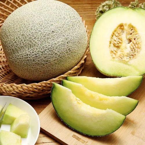 土豪吃蜜瓜的视频